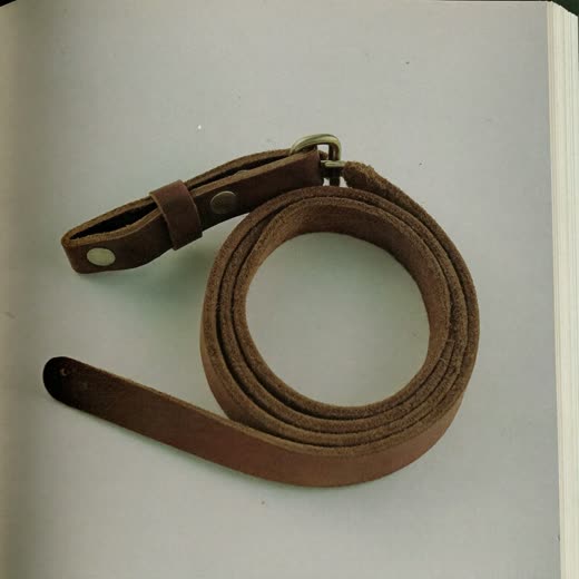 A leather lead and collar coiled on a plain backdrop